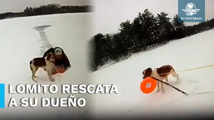 Perrito rescata a su dueño de un lago congelado en Michigan, Estados Unidos