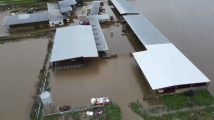 Varias granjas anegadas por el desbordamiento del arroyo Medrancho cerca de Talavera de la Reina