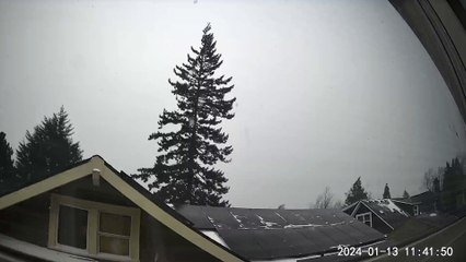 Tall Tree Crashes On Oregon House