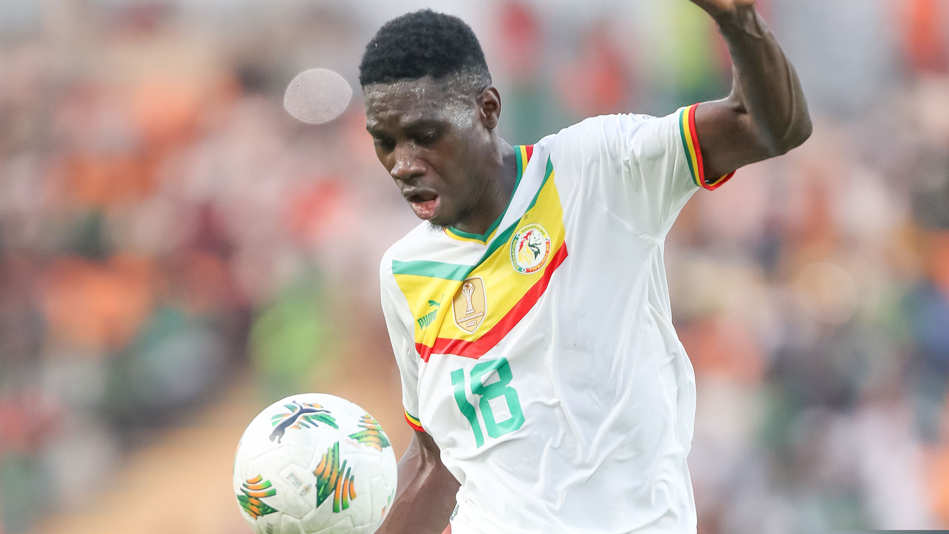 Senegal v Cameroon