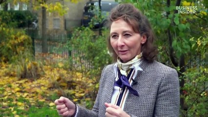 'Saboteurs' disrupt hunts to save foxes' lives