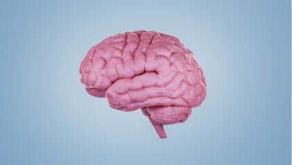 Überraschend: Studie zeigt, was beim Sterben im Gehirn passiert