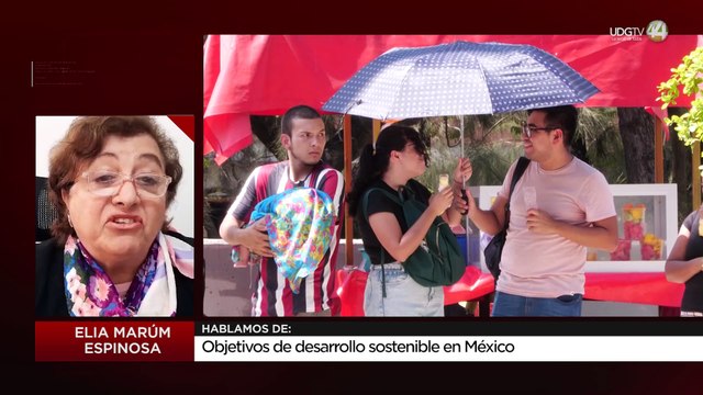Objetivos de desarrollo sostenible en México: Elia Marúm Espinosa