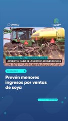 Prevén menores ingresos por ventas de soya