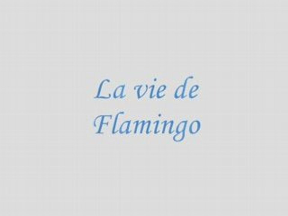 Flamingo espagne vidéo_0001