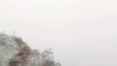 Foggy Weather on Hazara Motorway Mansehra