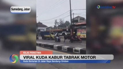 Download Video: OKEZONE UPDATES: Viral Kuda Kabur Tabrak Motor hingga Madrid ke Final Piala Super Spanyol