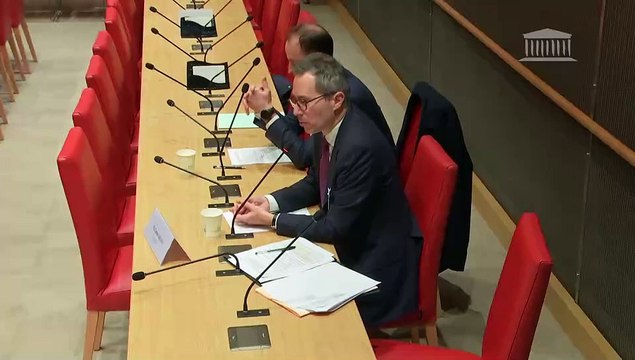 Modèle de protection et de sécurité civiles : M. Gabor Arany, sous-directeur adjoint de la planification de sécurité nationale (SGDSN) ; Table ronde sécurité civile et technologies de communication - Jeudi 18 janvier 2024