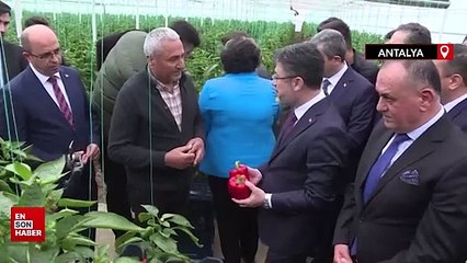 İbrahim Yumaklı: Ülkemizin tohum sıkıntısı yok