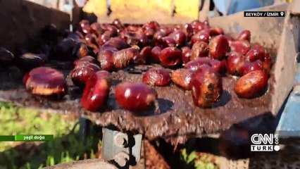 Kestane ile kalkınan Beyköy'ün hikayesi Yeşil Doğa'da ekrana geldi