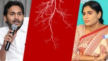 APCC గా Ys Sharmila బాధ్యతలు.. వెంటనే Congress లోకి ఇద్దరు MLA లు | Telugu Oneindia