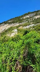 Isla de Puerto Rico