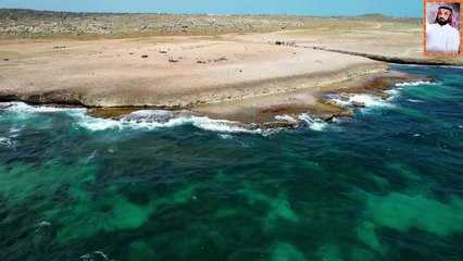 أجمل صوت قران فى الدنيا مؤثر جدا بيكي