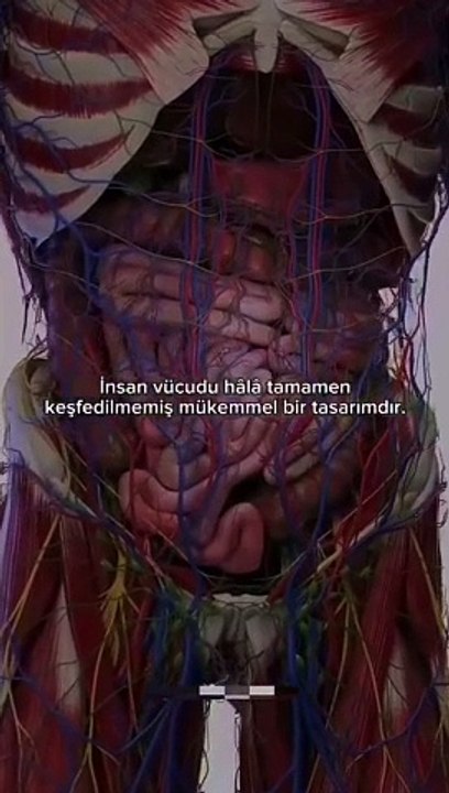 İnsan bedeni hakkında şaşırtıcı bilgiler