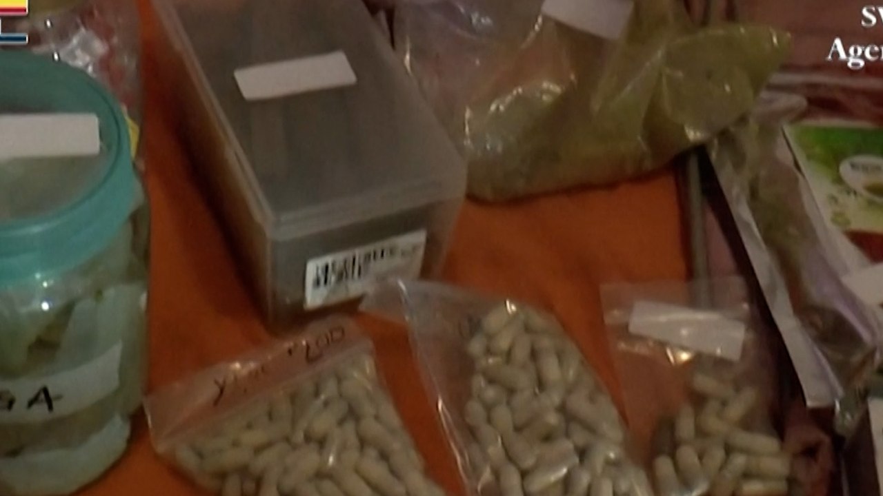 Ayahuasca, billets de banque et sécrétions de crapaud : un réseau chamanique démantelé en Espagne