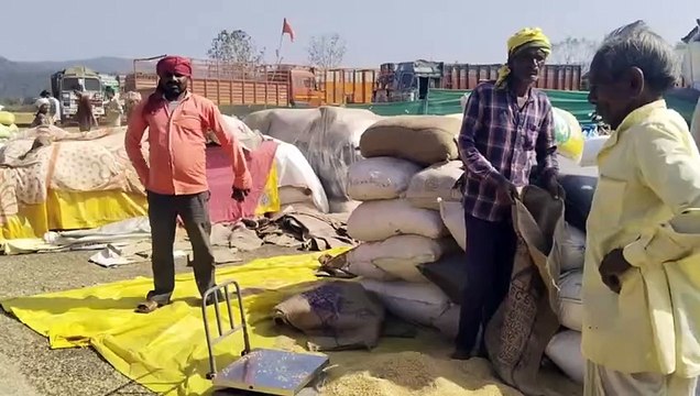 लक्ष्य से 5 लाख क्विंटल कम हुई धान खरीदी