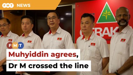 Muhyiddin agrees with me, Dr M crossed the line, says Lau