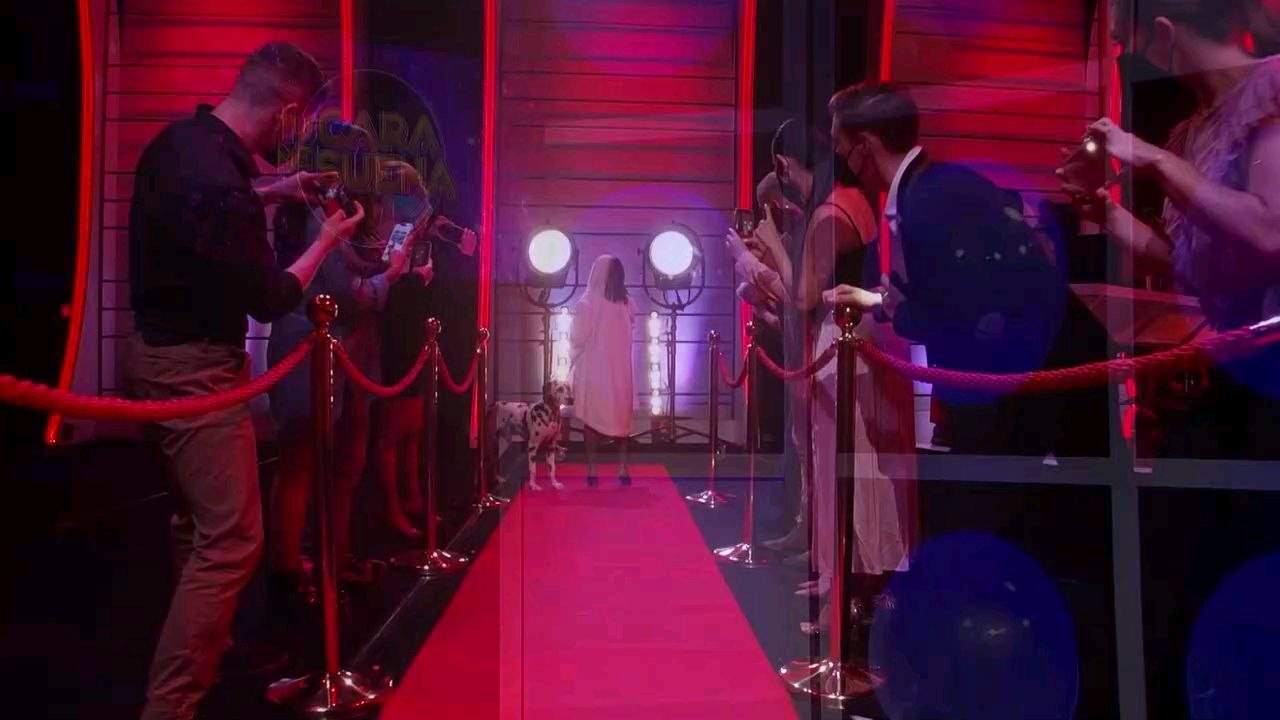 Este es mi vídeo más reciente
