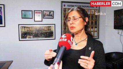 Veteriner Hekimler Derneği Genel Başkanı Ertürk: "Tüm Sokak Hayvanlarının Barınaklara Atılmaya Zorlanması İnsanlık Dışı Bir Davranıştır.