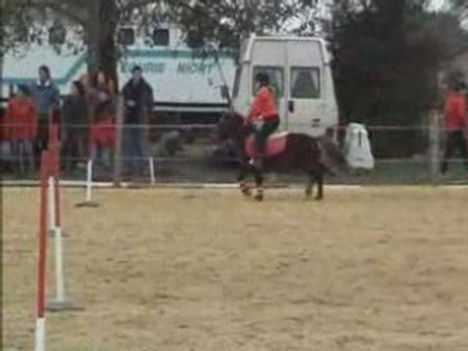 Logis Novembre 2007 vcd