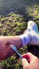 Sagawa1gou funny video  - SAGAWA Best Shorts 2022 #shorts