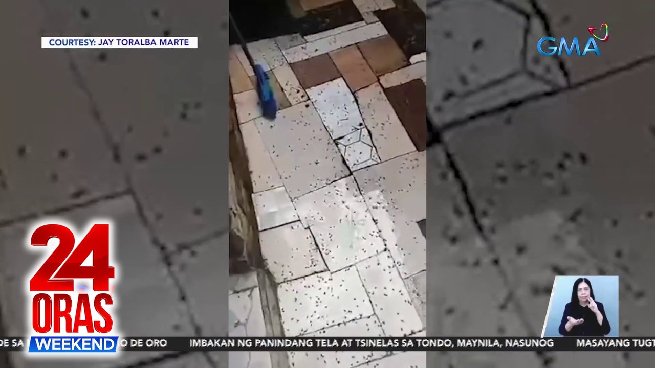 Pagdagsa ng mga langaw sa isang barangay sa Antipolo, perwisyo sa mga residente | 24 Oras Weekend