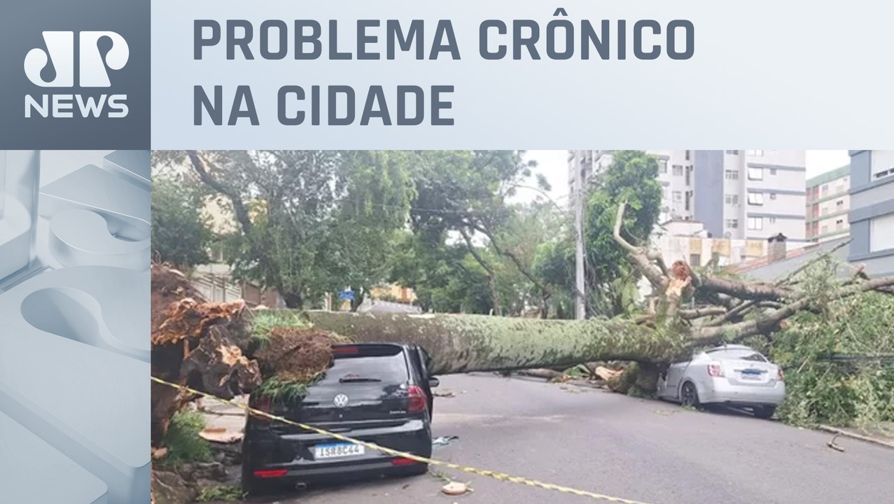 São Paulo sofre com quedas de árvores durante temporais