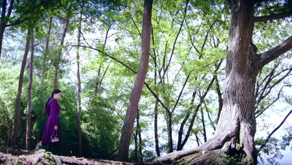 Thái Cực Tông Sư | 2017 | Tập 37 | TRUNGTIN0210