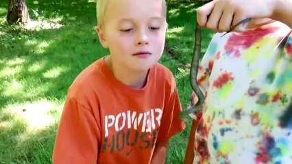 List of Really BAD IDEAS! Funniest Fails - AFV 2019