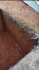 Proses pembuatan kolam indukan lele