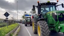 Protesta agricoltori con i trattori sulla Palermo Sciacca