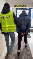 Policja uderza w narkobiznes. Zabezpieczono 11 kg narkotyków