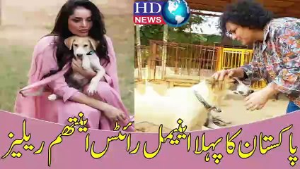 پاکستان کا پہلا اینیمل رائٹس اینتھم ریلیز