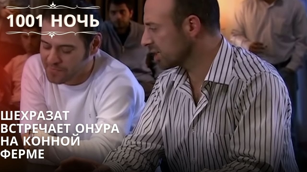 Шехразат встречает Онура на конной ферме| 1001 ночь - Эпизод 11