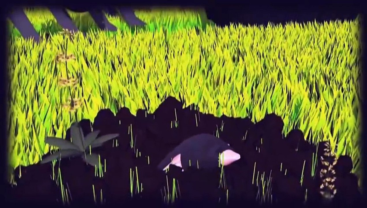 Videografik: Pestizide - giftig und umstritten