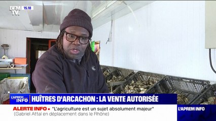"Une très bonne nouvelle": la vente des huîtres d'Arcachon à nouveau autorisée