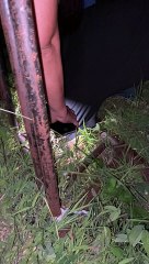 Puppy Rescued From Hole