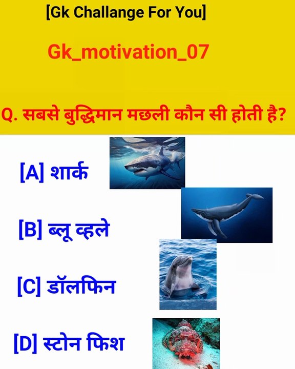 Video1705762895560_video