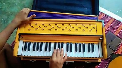 ज़रा देर ठहरो राम _ Harmonium _ Shri Radhe #braj #radha #krishna #ram #sitaram #vrindavan #harmonium