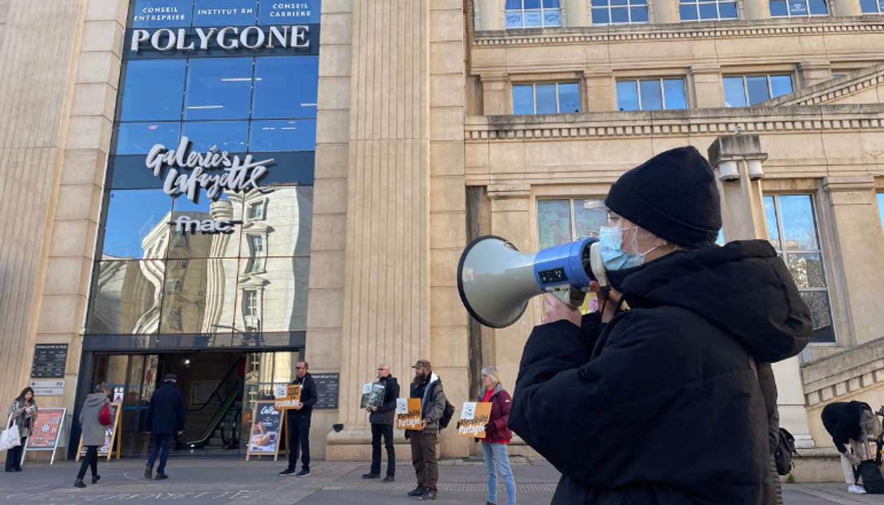 Interview d’Eddine Ariztegui, élu du Parti Animaliste, adjoint délégué au bien-être animal à Montpellier