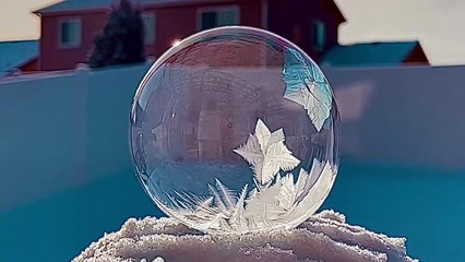 Frozen Soap Bubbles