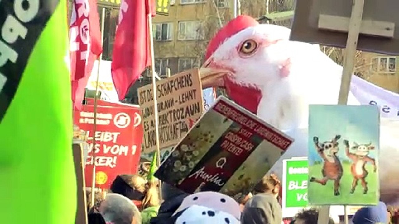 'Wir haben es satt': Großdemo für ökologische Agrarwende