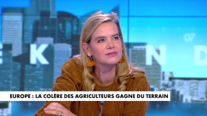 Gabrielle Cluzel : «La France est attachée à ses agriculteurs, d'où la crainte politique que ça s'étende»