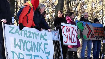 Kraków PROTEST wycinka drzew LUBLANSKA
