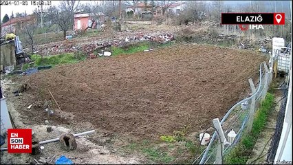 Elazığ'da kümese giren köpek tavuğu alıp kaçtı