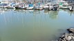 Afecta a Marina Vallarta pestilencia por descargas de aguas residuales en la dársena