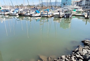 Afecta a Marina Vallarta pestilencia por descargas de aguas residuales en la dársena