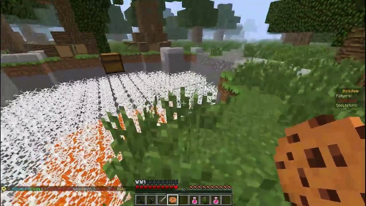 Minecraft Silahlı Açlık Oyunları - Bölüm 5 - İkili Çete