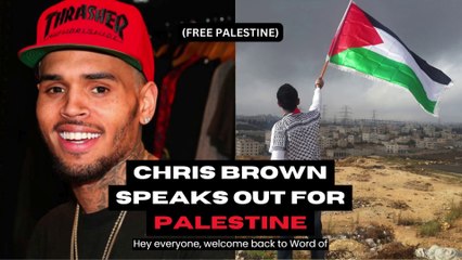 Chris Brown speaks about Palestine in a Concert in Dubai, UAE