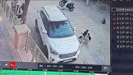 हत्या का बदला लेने के लिए ऐसे की थी घेराबंदी, देखें live video...